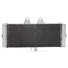 Load image into Gallery viewer, Aluminum Water Cooler Radiator For Suzuki GSF1250 2015-2016