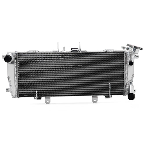 For BMW R1200R 14 / 16-18 / R1200RS 15-18 / R1250R / R1250RS 18-24 Aluminum Engine Water Cooler Radiator