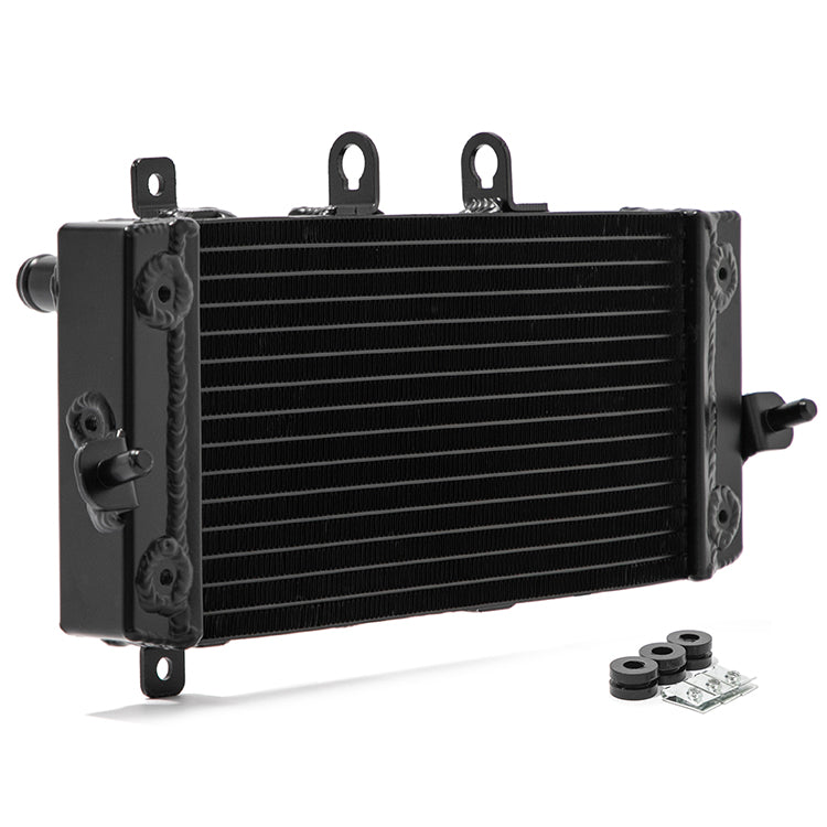 TIG-Welded Heavy-Duty Engine Radiator Replacement For Suzuki GSX250R V-Strom 250 Inazuma 250 2012-2021 17710-48HA0
