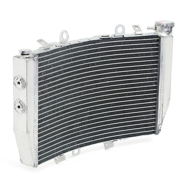 Motorcycle Aluminum Radiator for Triumph Speed Triple 1050 2011-2018