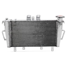 Load image into Gallery viewer, Aluminum Motorcycle Water Cooling Radiator For Triumph Tiger 1050 2006-2020