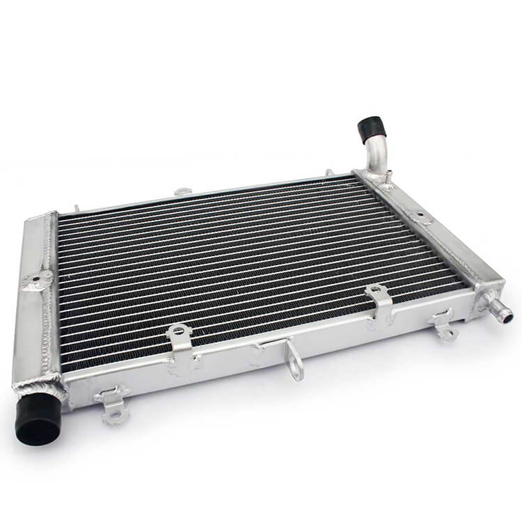 Motorcycle Radiator for YAMAHA FZS 1000 Fazer 2001 - 2005