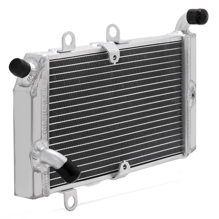 Motorcycle Aluminum Radiator for Honda Silver Wing FJS400 2009-2016 / FJS600 2001-2016
