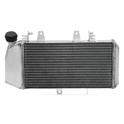 Motorcycle Radiator for BMW F650GS F700GS F800R F800S F800ST F800GT OEM 17117678284