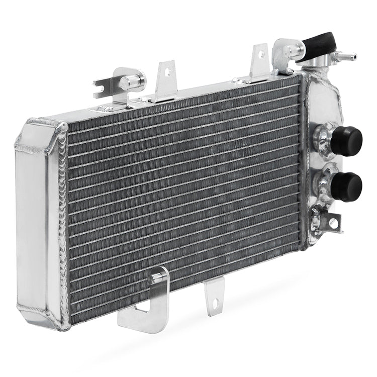 Motorcycle Radiator for BMW F650GS F700GS F800R F800S F800ST F800GT OEM 17117678284