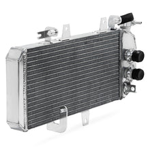 Load image into Gallery viewer, Motorcycle Radiator for BMW F650GS F700GS F800R F800S F800ST F800GT OEM 17117678284