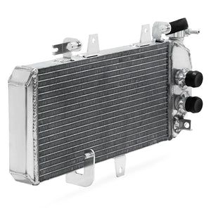 Motorcycle Radiator for BMW F650GS F700GS F800R F800S F800ST F800GT OEM 17117678284