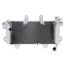 Load image into Gallery viewer, Motorcycle Radiator for KTM Duke 390 / Duke 250 2017-2019 / RC390 2017-2020