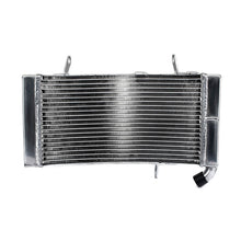 Load image into Gallery viewer, Radiator for DUCATI 998
