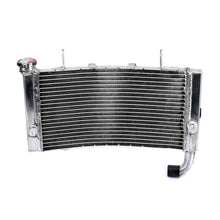 Load image into Gallery viewer, Radiator for DUCATI 999