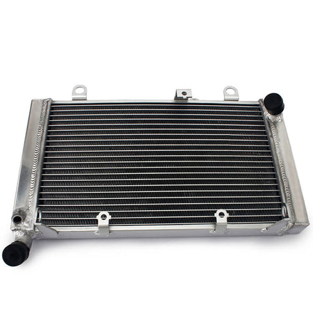 Radiator for HONDA CBF 1000 2006 - 2010