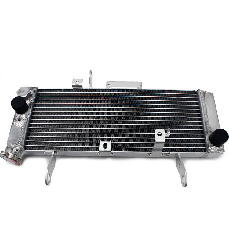 Radiator for SUZUKI SV 650  2003 - 2004