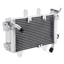 Load image into Gallery viewer, Motorcycle Radiator for KTM Duke 390 / Duke 250 2017-2019 / RC390 2017-2020